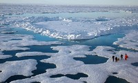 Humans: the main cause of Arctic sea ice melting