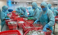Vietnamese aquatic products strive to regain confidence in Europe