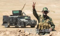 Iraqi forces liberate Hatra from ISIS