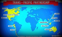 TPP negotiators discuss amendments after US withdrawal