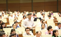 Legislators discuss Law on Vietnam’s overseas representative missions