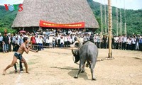 The Ma’s buffalo sacrifice ritual dedicated to Jade Emperor