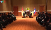 Lao President meets Vietnam-Laos Friendship Association