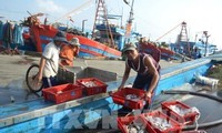 Vietnam upholds EC’s recommendations on seafood exploitation