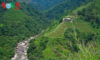 Ha Giang terraced fields ready for new crop