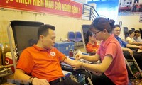 Blood donation activities held across Vietnam