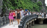 Vietnam, Canada promote tourism cooperation