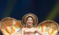 H'Hen Niê’s journey to Miss Universe Top 5