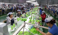 Apparel sector earns 36 billion USD from exports in 2018