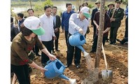Yen Bai responds to New Year tree planting festival 