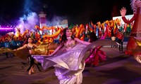 Carnival Ha Long 2019 opens in Quang Ninh