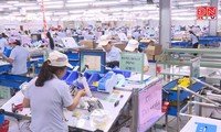 Dong Nai achieves FDI goal 5 months ahead of schedule