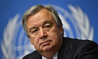 UN chief disappointed by COP 25 results