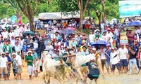 An Giang province's Ox Racing Festival aims towards international event