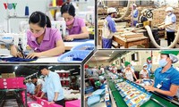 Domestic enterprises turn COVID-19 difficulties into opportunities