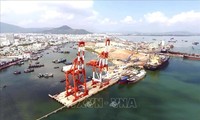 Sea route linking Quy Nhon port with northeast Asia inaugurated