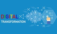 Vietnam’s digital transformation