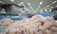 Catfish exports to UK remain high despite COVID-19 pandemic