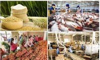 Vietnam’s agricultural exports set high growth target despite difficulties 