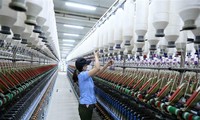 AMRO: Vietnam’s GDP growth expected at 7 percent this year