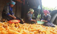 Cooperative and craft village model proves effective in Ha Giang