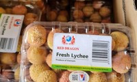 First batch of Vietnamese lychees lands in France