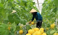 Australia selects nine global agritech firms to transfer technology to Vietnam