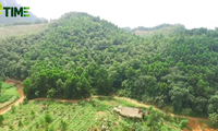 Hon Mu farm, where people live in harmony with nature