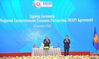RCEP to take effect on Jan 1 in boost for regional cooperation