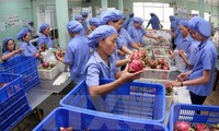 EU remains promising market for Vietnamese fruits