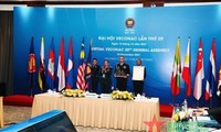 Vietnam fullfils role as Chair of Veterans Confederation of ASEAN Countries