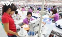 Measures taken to stabilize labor market affected by pandemic