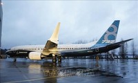 Vietnam allows Boeing 737 Max to fly again