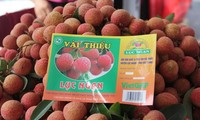 Government promotes geographical indications of Vietnamese export products