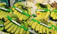 Vietnamese banana, macadamia preferred in foreign market