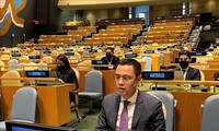 Vietnam pledges to promote UN’s common agenda: Diplomat
