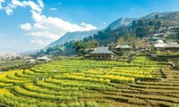 Agriculture-based tourism gains popularity in Lao Cai