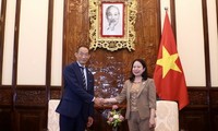 Vice President appreciates WHO’s assistance for Vietnam’s health sector