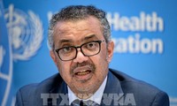 WHO declares monkeypox outbreak a global health emergency