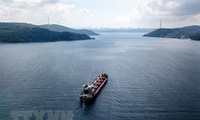 First Ukraine grain ship docks in Turkey  
