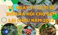 Lai Chau province to host ginseng fair for first time