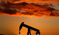 OPEC reduces oil output in November