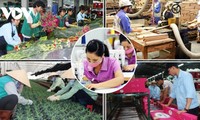 Vietnam records impressive economic results in 2022  