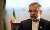 Iran has always had strong cooperation with IAEA: Bagheri Kani