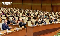 NA’s extraordinary session decides on national master plan, personnel work