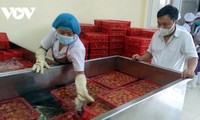 Vietnam’s FDI projected to reach up to 38 billion USD in 2023