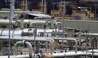 Turkey to host natural gas summit in Feb