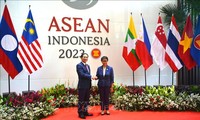 Vietnam pledges greater contribution to improving ASEAN's capacity, resilience 