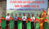 Quang Tri exports first batch of organic rice to EU