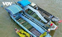 Cai Rang floating market - a fantastic tourist destination in Mekong Delta